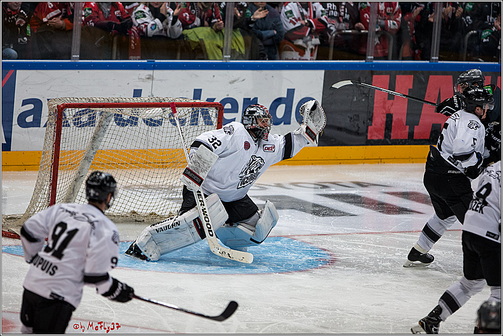 DEL, Koelner Haie - Nuernberg Ice Tiger, 24.01.2017